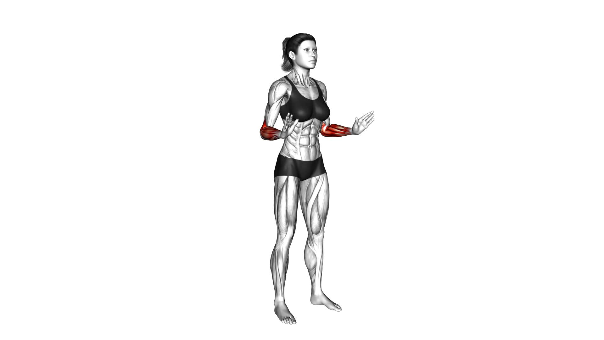 Wrist Circles (female) - Video Exercise Guide & Tips