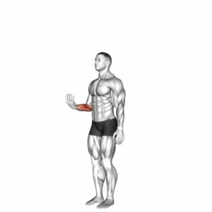 Wrist - Flexion - Video Exercise Guide & Tips