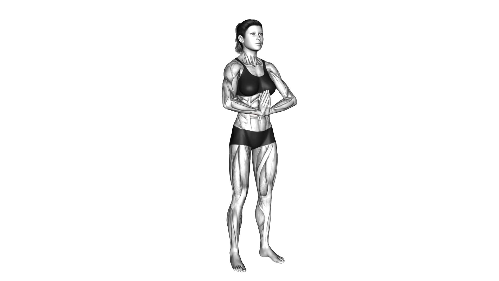 Wrist Flexor Stretch (female) - Video Exercise Guide & Tips