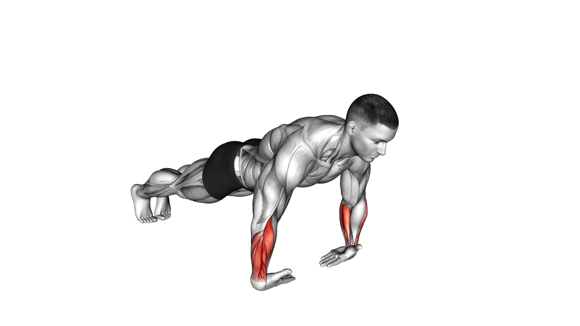 Wrist Push-up (male) - Video Exercise Guide & Tips