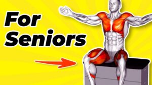 10 Effective Chair Exercises For Seniors To Lose Belly Fat A Step By Step Guide