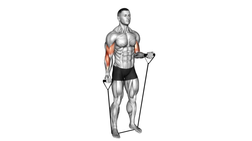 10 Effective Resistance Band Exercises For Bicep To Build Stronger Arms ...