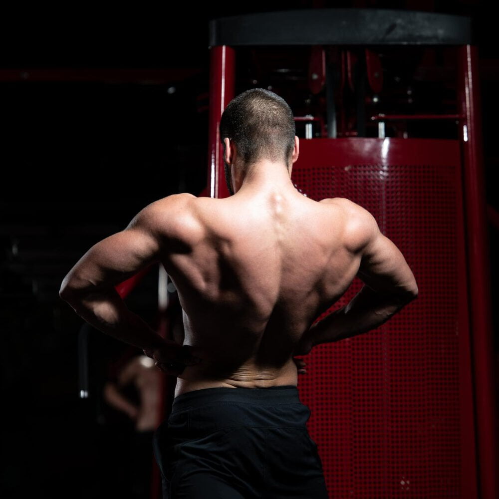 10 Upper Body Horizontal Pull Exercises To Building A Strong Back And Arms