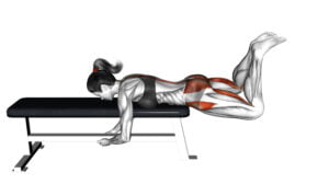 5 Best Glute Exercises On Bench Sculpt And Strengthen Your Butt