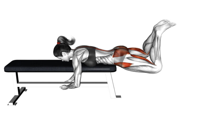 5 Best Glute Exercises On Bench – Sculpt and Strengthen Your Butt 