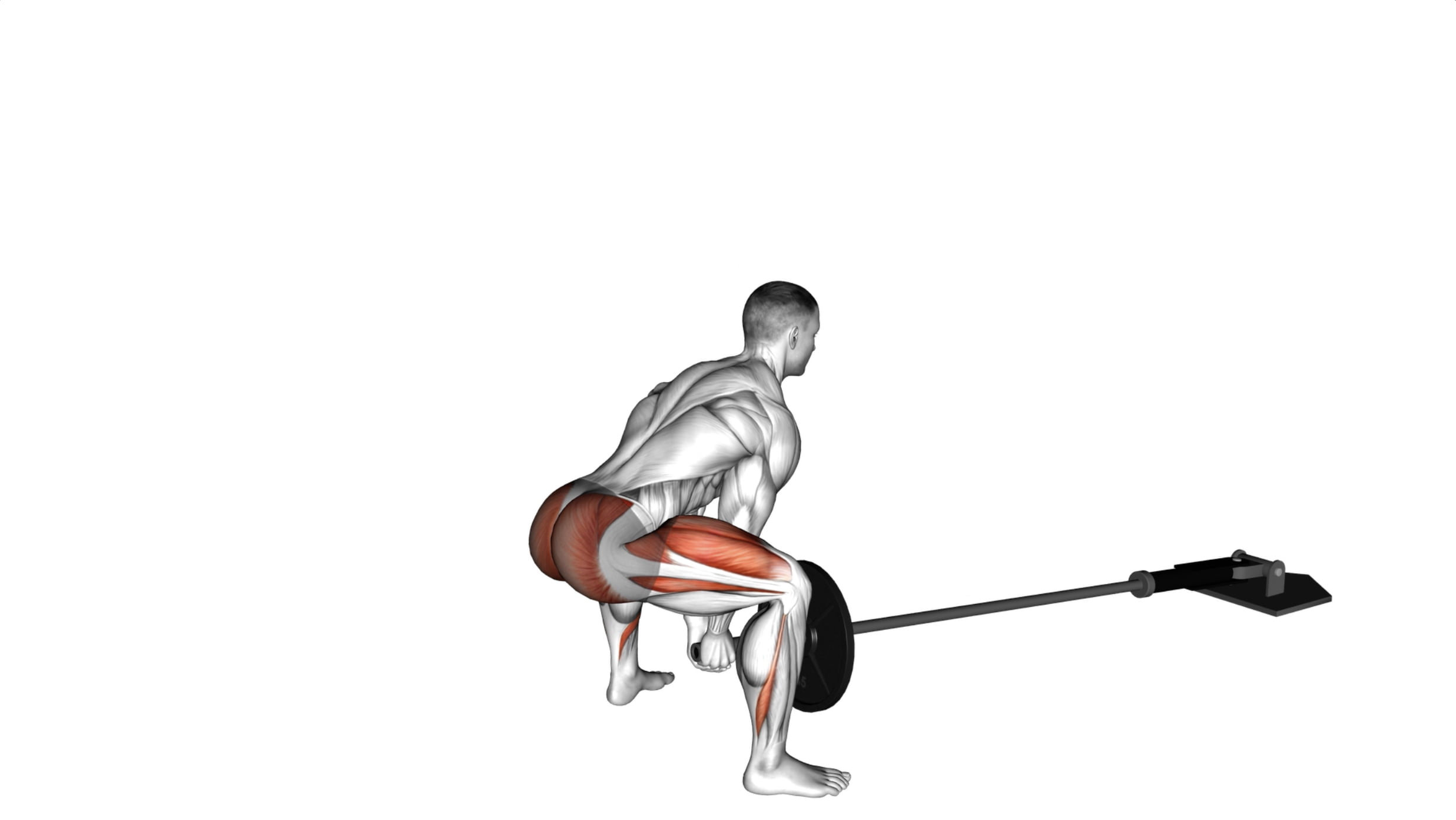 5 Best Landmine Glute Exercises For Maximum Results Get Strong And Sculpted Glutes