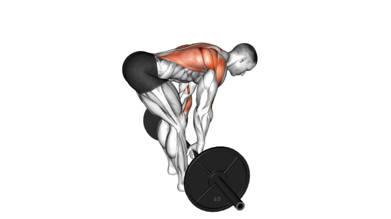 5 Best Lat Exercises With Barbell For Strong And Sculpted Back Muscles