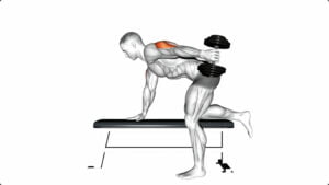 5 Dumbbell Exercises For Tricep Lateral Head Get Shapely Arms
