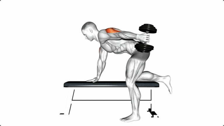 5 Dumbbell Exercises for Tricep Lateral Head – Get Shapely Arms!