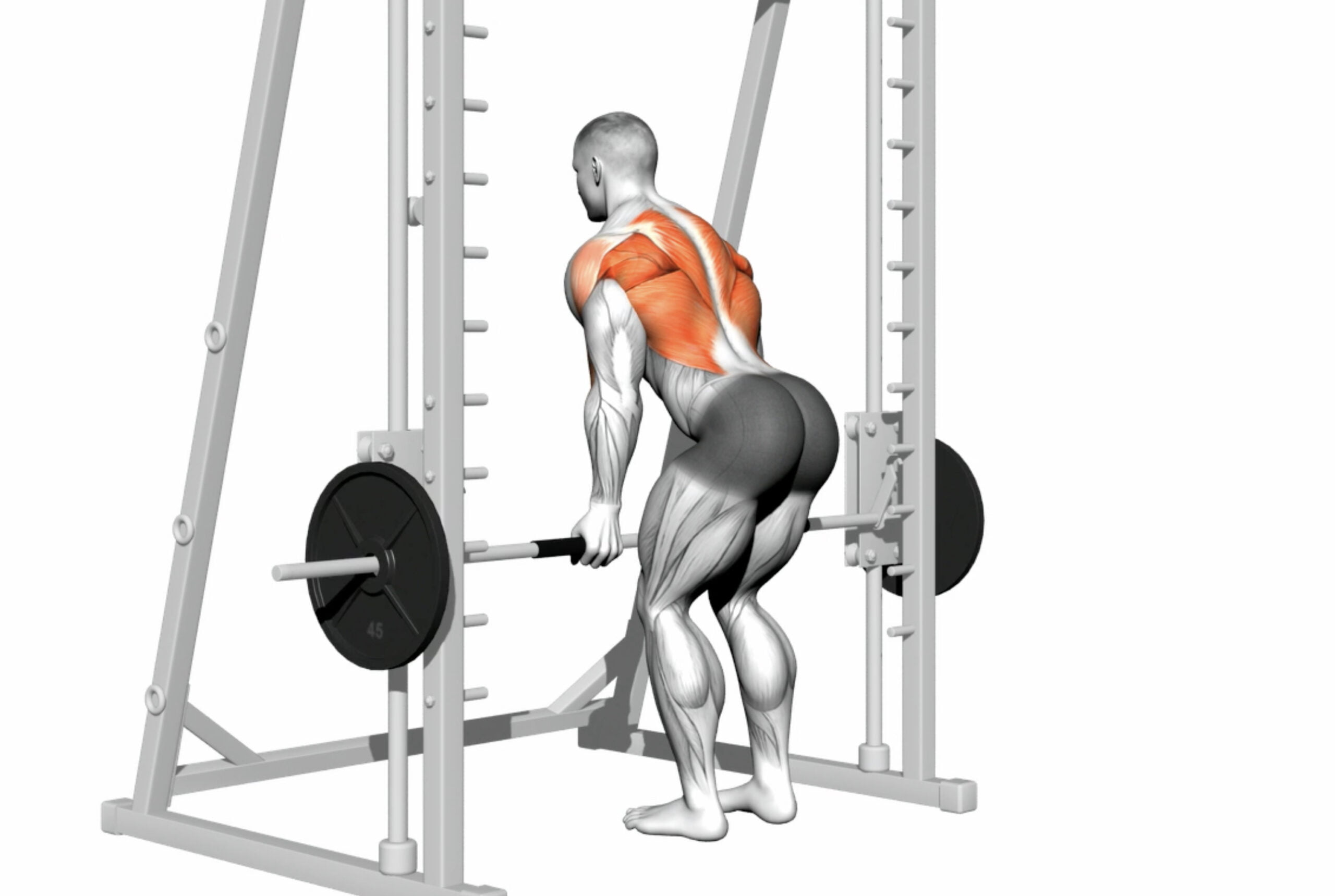 5 Effective Back Exercises With Smith Machine For Maximum Results