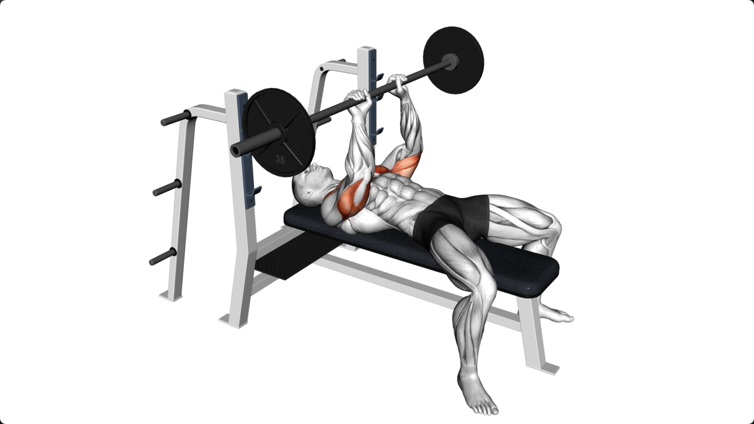 5 Effective Barbell Exercises For Tricep Lateral Head Build Strong Defined Tricep