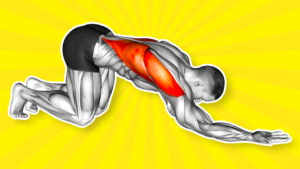 5 Effective Lats Stretching Exercises For Improved Flexibility And Strength