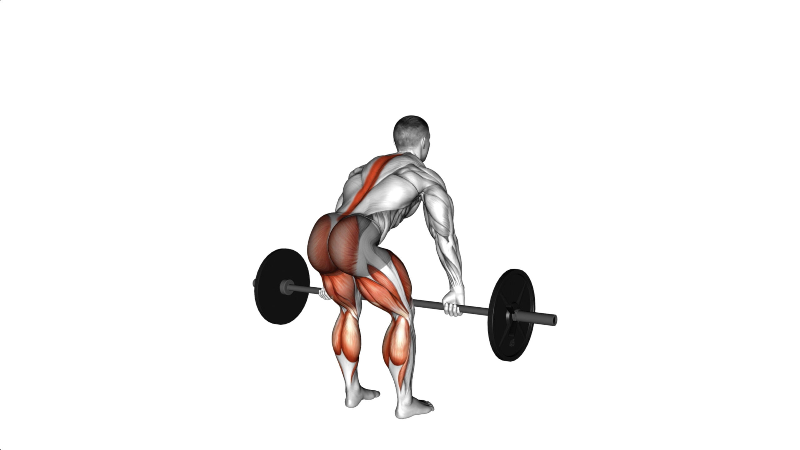 5 Powerful Barbell Exercises For Hamstrings That Will Transform Your Leg Day Routine