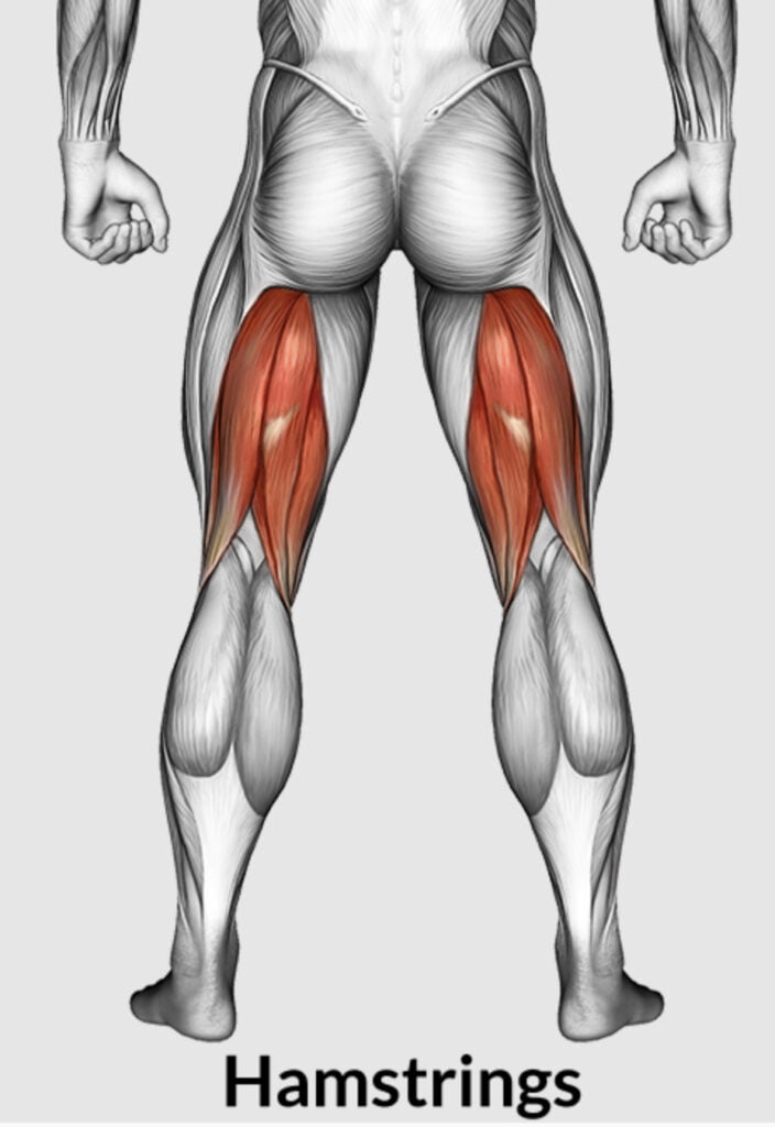5 Powerful Barbell Exercises For Strengthening Your Hamstrings