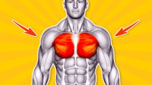 6 Cable Pec Exercises To Boost Your Chest Gains