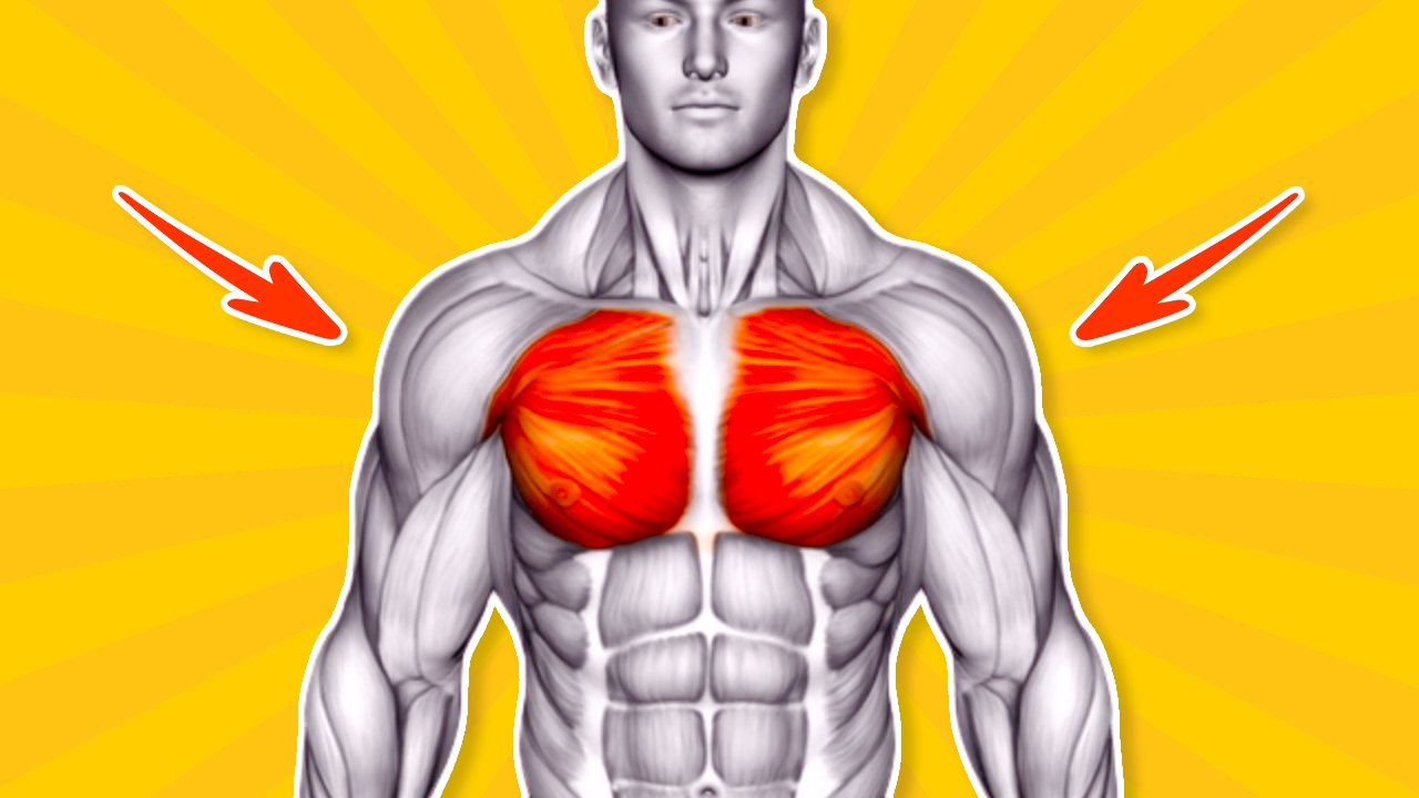 6 Cable Pec Exercises To Boost Your Chest Gains
