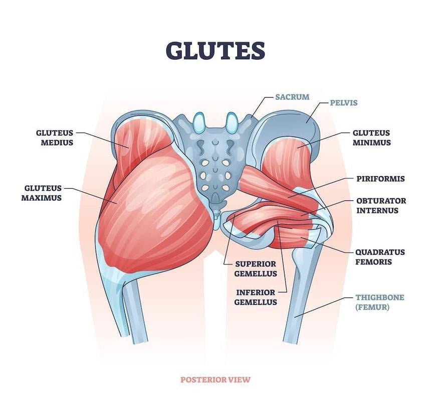 Burn Fat And Sculpt Your Hips With These 10 Exercises That Target The Gluteus Minimus