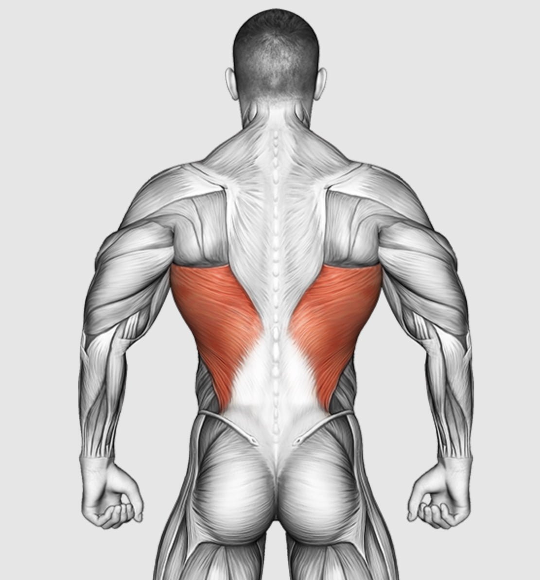 5 Best Kettlebell Lat Exercises - Get V-Shaped Back! - Workout Guru