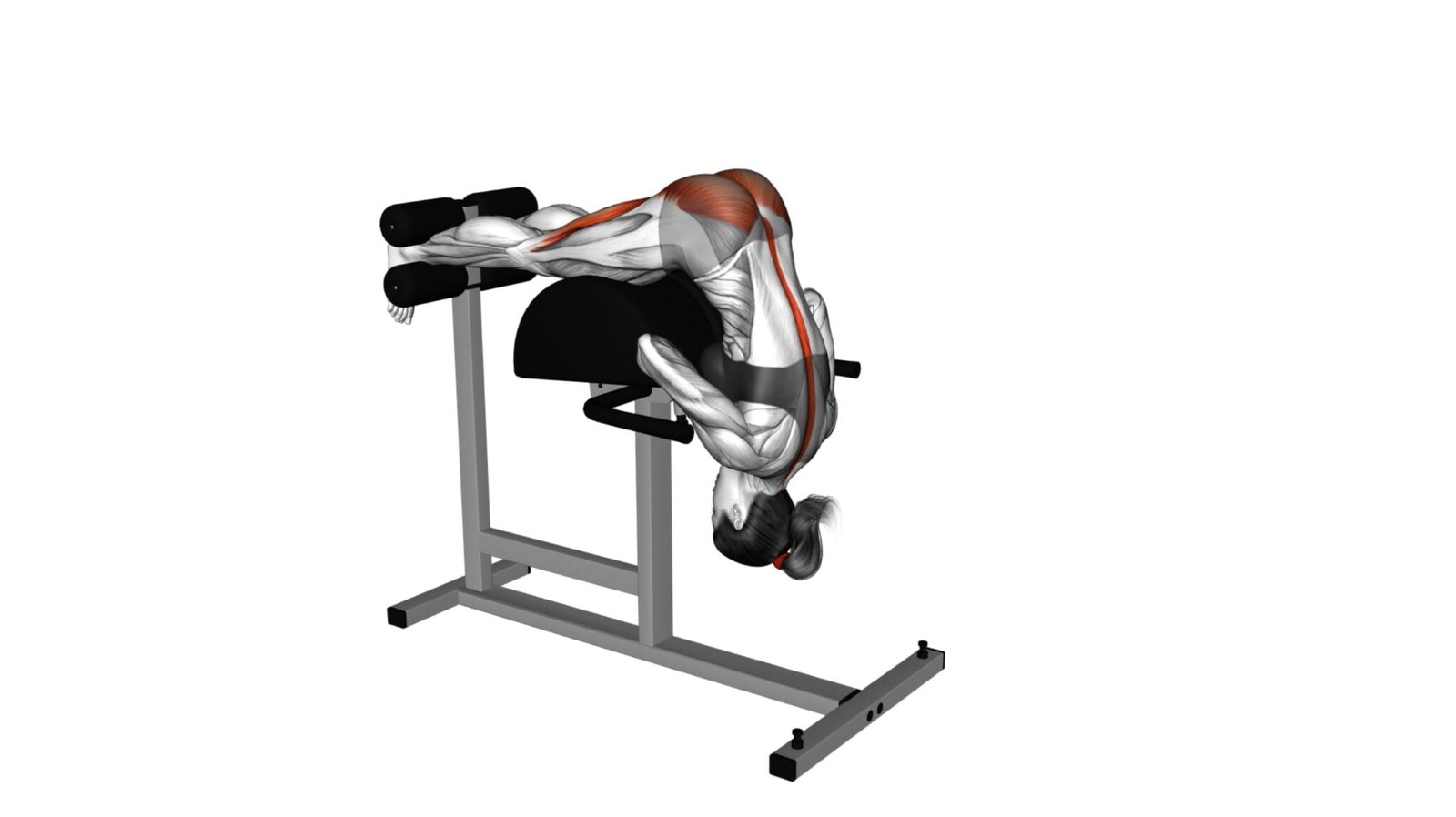 5 Best V-Shaped Buttocks Exercises For A Perkier Peach - Workout Guru Best workouts for the buttocks