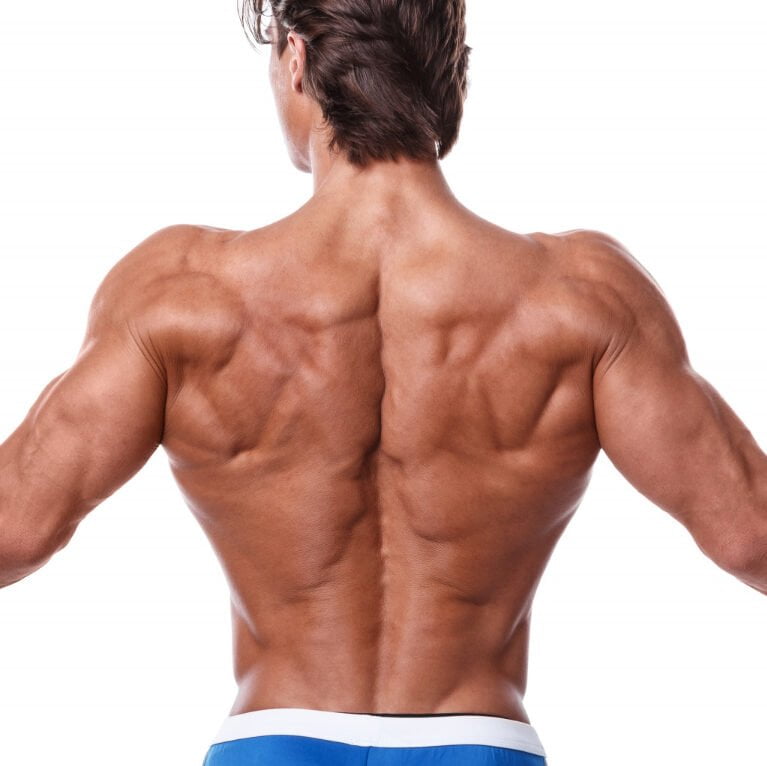 Man Showing His Muscular Back