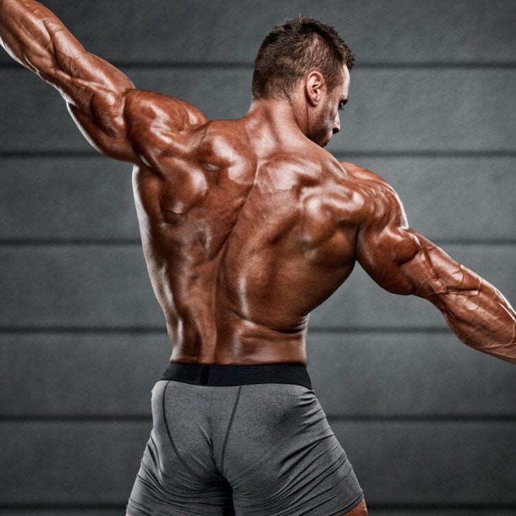 Strong Muscular Men Flexing Muscles From Back He Is Showing Back Muscles Development