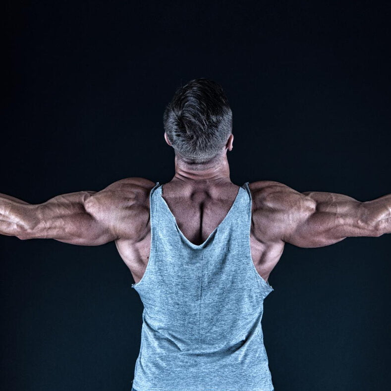 10 Banded Tricep Exercises For Sculpted Arms The Ultimate Workout Guide