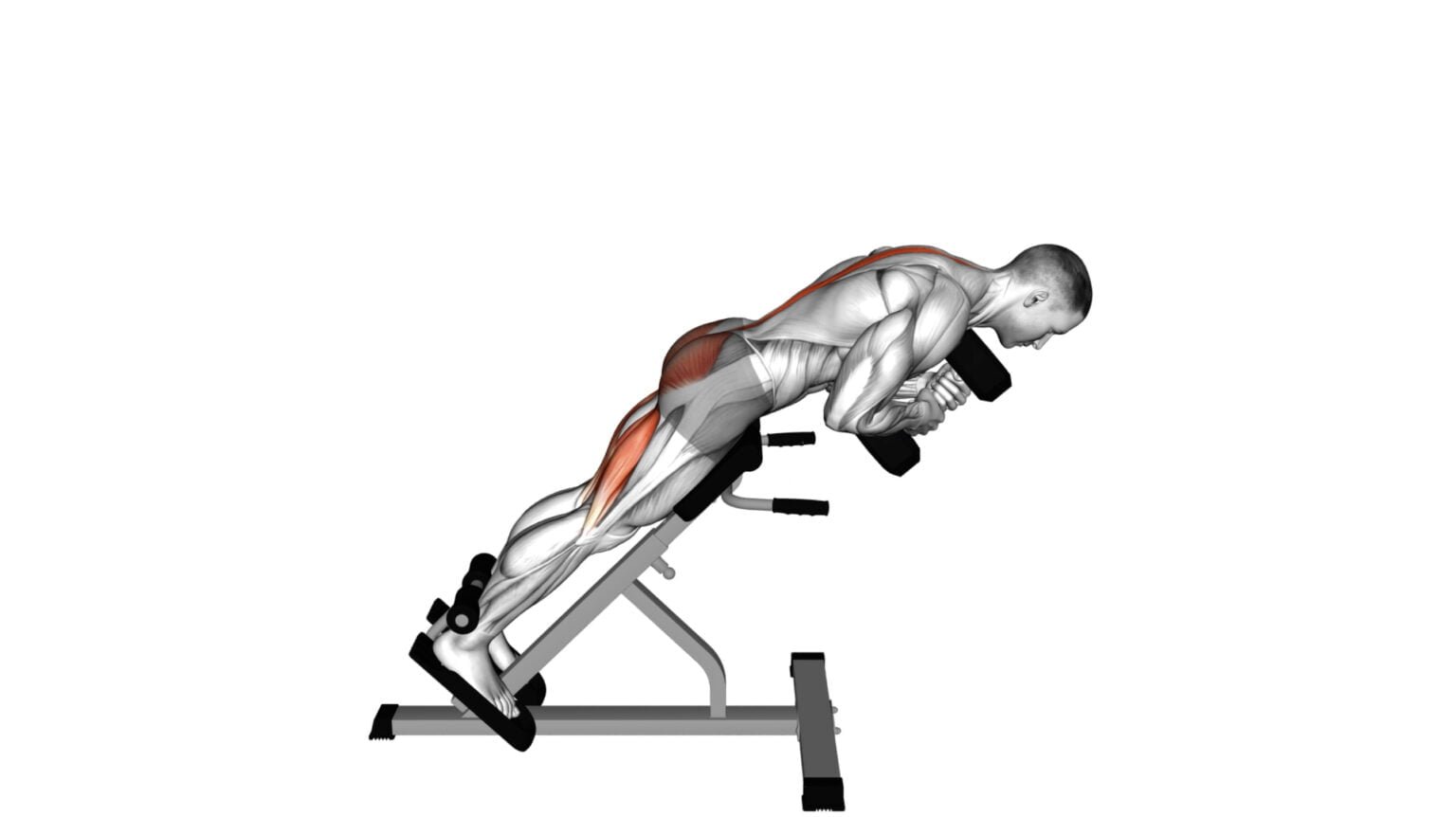 10 best exercises for big lats build bigger and stronger back muscles