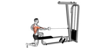 10 Best Exercises For Thicker Back Build Muscle And Strength