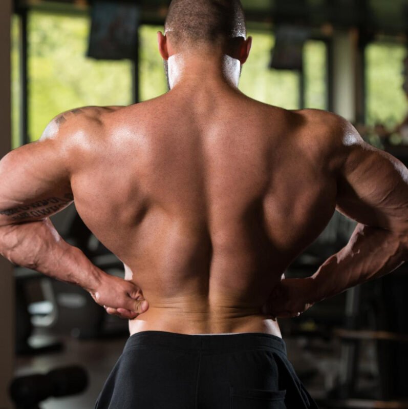 10 Best Exercises For Thicker Back Build Muscle And Strength