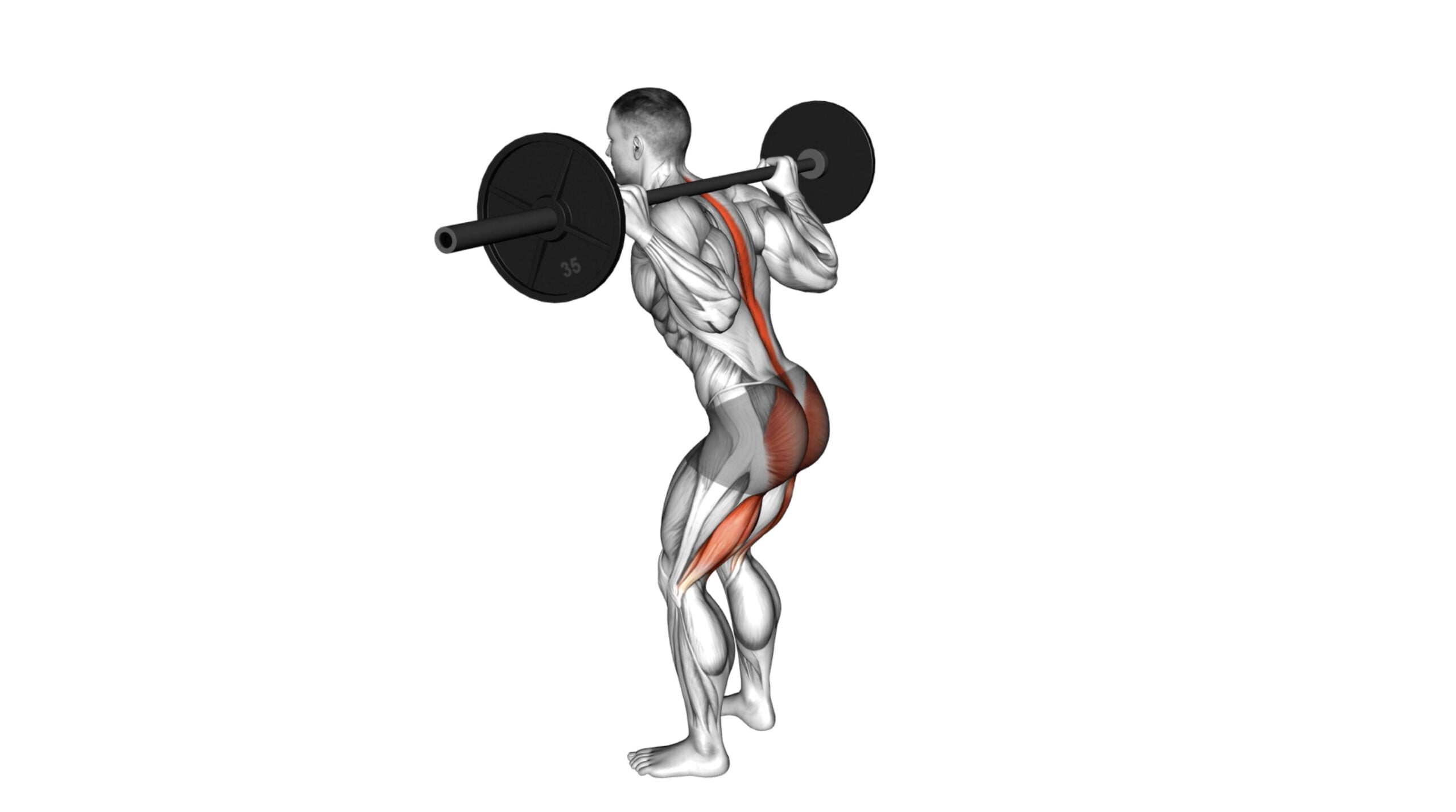 10 Compound Glute Exercises To Sculpt And Strengthen Your Glutes