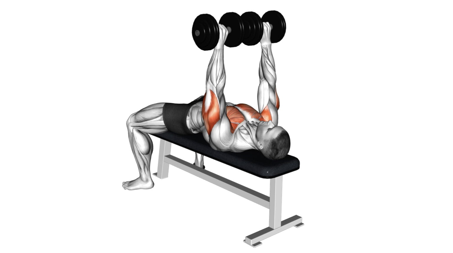 10 Bench Exercises For A Full-Body Workout: How To Use A Workout Bench ...