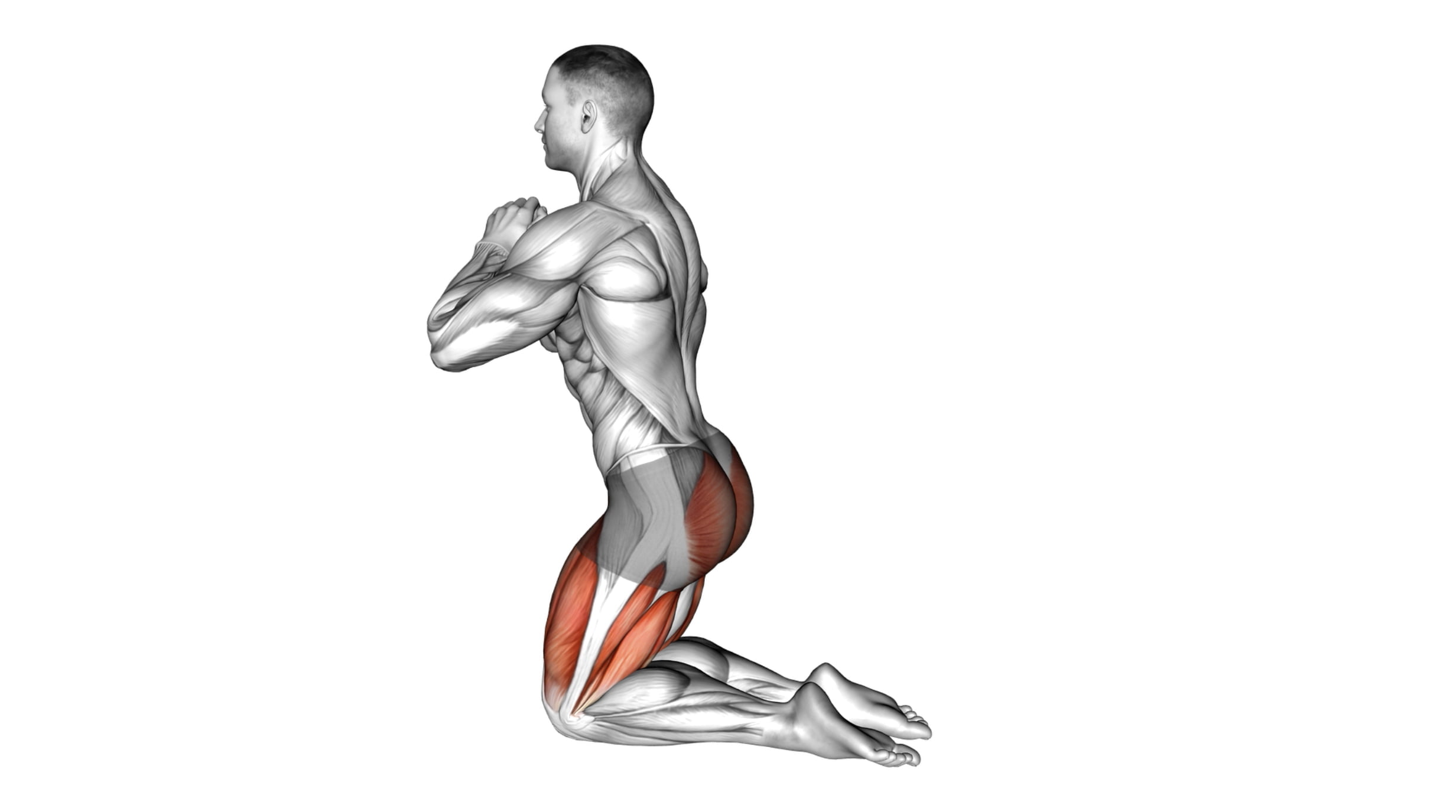 10 Incredible Kneeling Exercises For Strength Stability