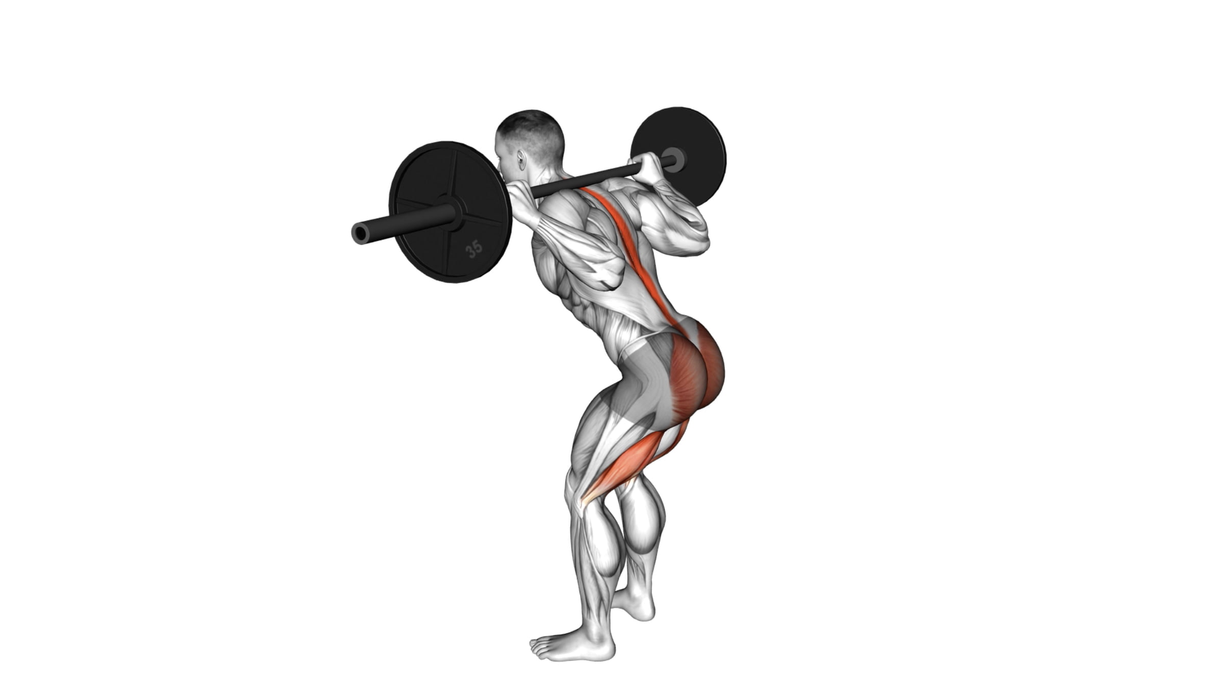 10-lower-body-pull-exercises-to-strengthen-your-hamstrings-and-glutes