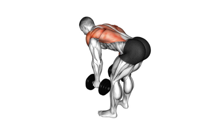 10 Pull Day Exercises With Dumbbells for Ultimate Muscle Gain