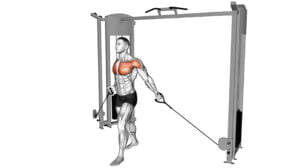 6 Effective Upper Chest Cable Exercises For A Stronger And Defined Chest