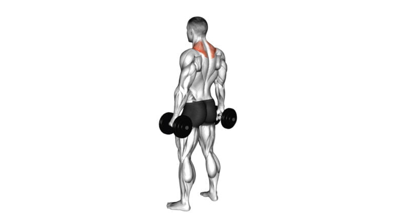 7 Dumbbell Exercises For Traps: Build Stronger And Fuller Upper Back Muscles