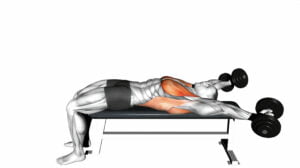 10 Bench Exercises For A Full-Body Workout: How To Use A Workout Bench At Home
