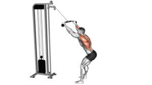 10 Best Exercises For Big Lats: Build Bigger And Stronger Back Muscles