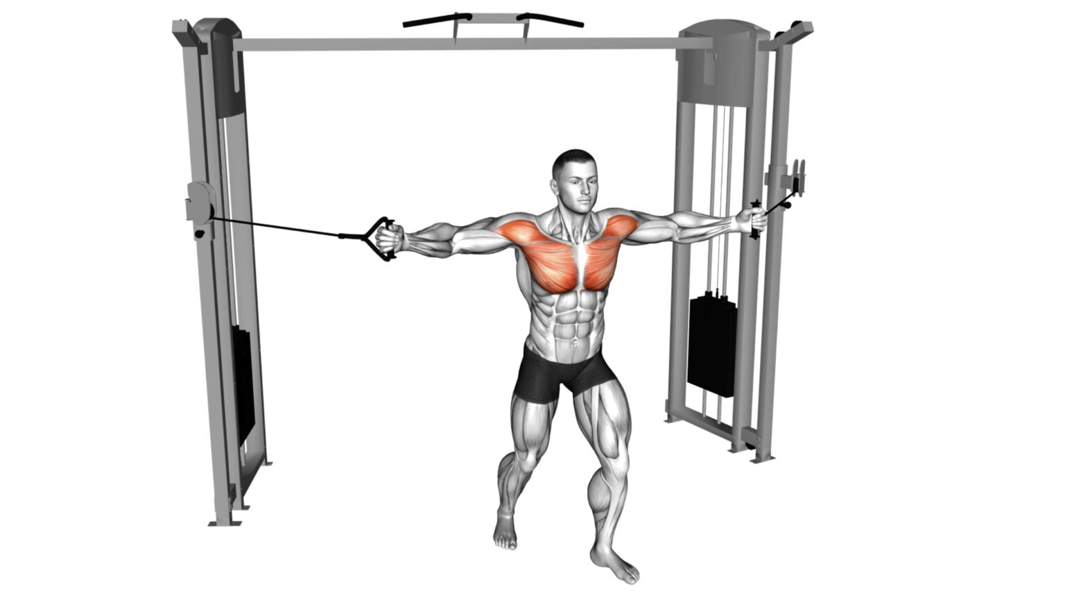 10 Upper Body Cable Exercises For Strength And Mass: The Ultimate Cable ...