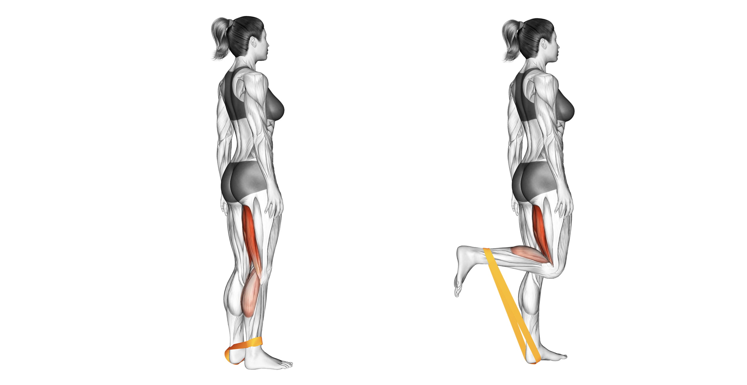 Effective Band Hamstring Exercises For Stronger And Toned Legs