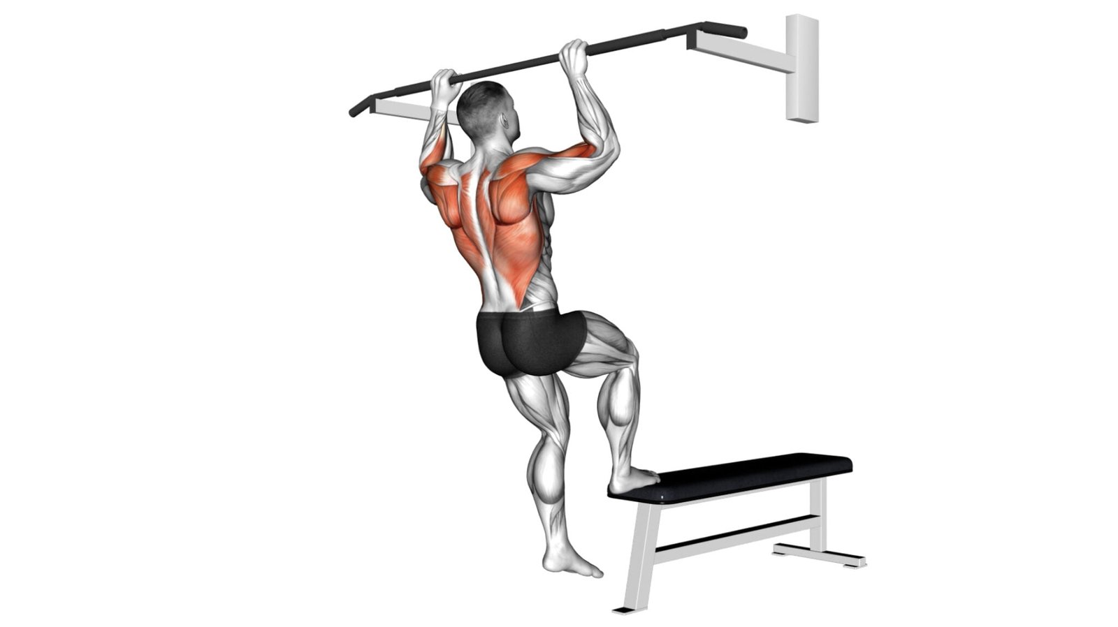 10-beginner-pull-up-bar-exercises-for-stronger-arms-and-back-workout-guru