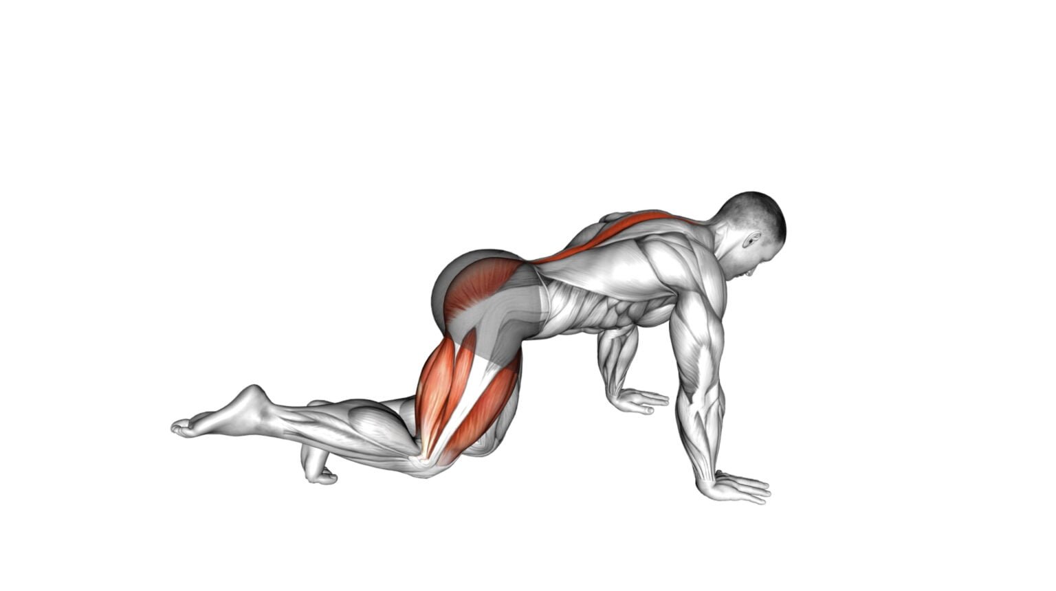 Hip Exercises With Bands