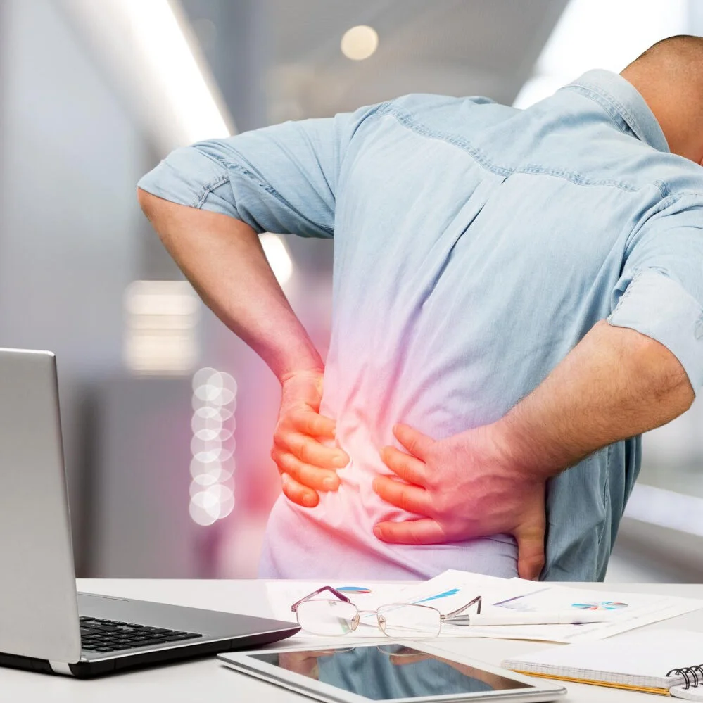 10 Effective Exercises For Multifidus Muscles