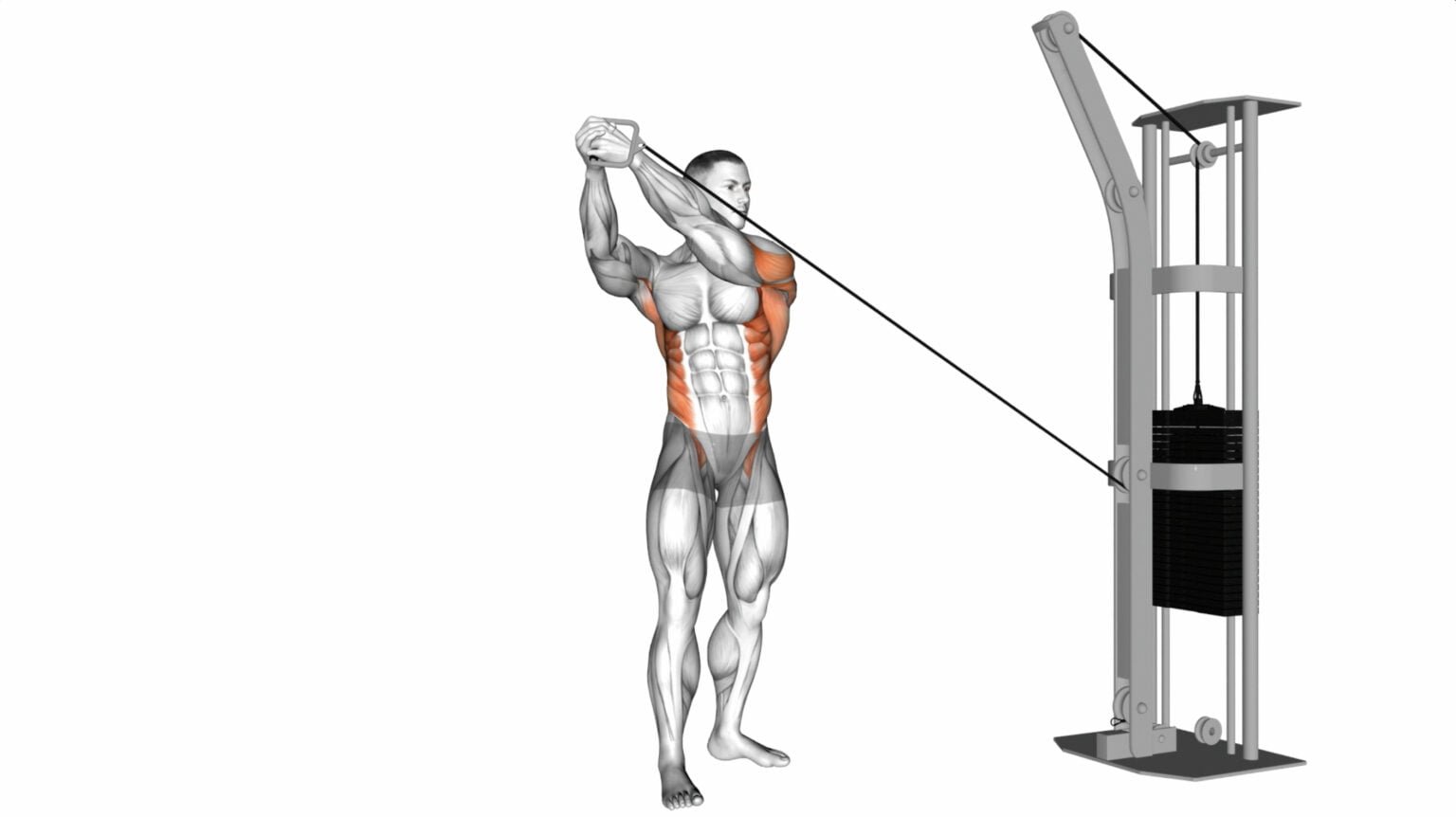 10 hip exercises with bands to get your hips in shape workout guru