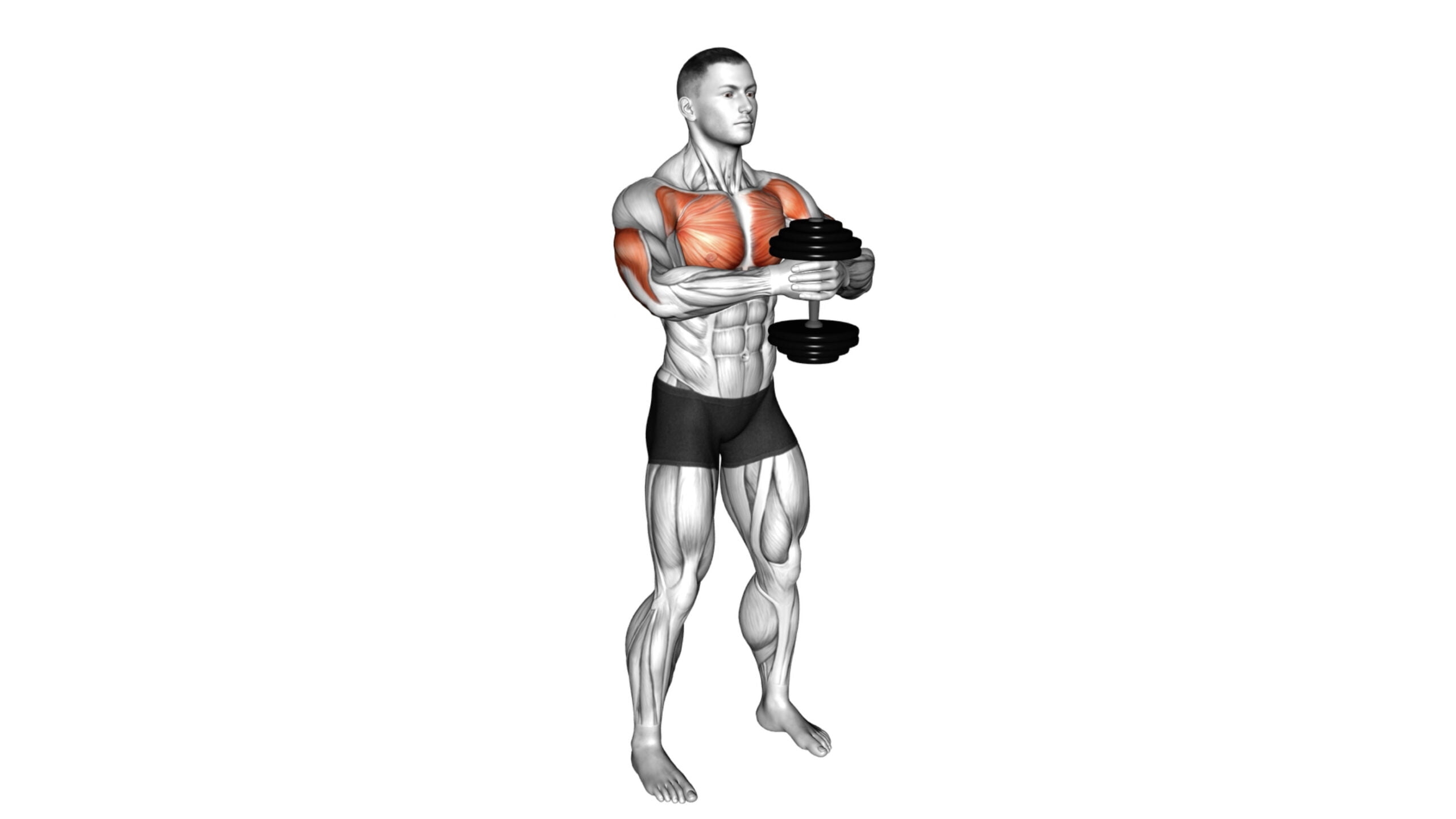 5 Chest Dumbbell Exercises Standing For Sculpting And Strengthening