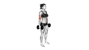 Dumbbell Hammer Curl (female) - Video Exercise Guide & Tips - Workout Guru
