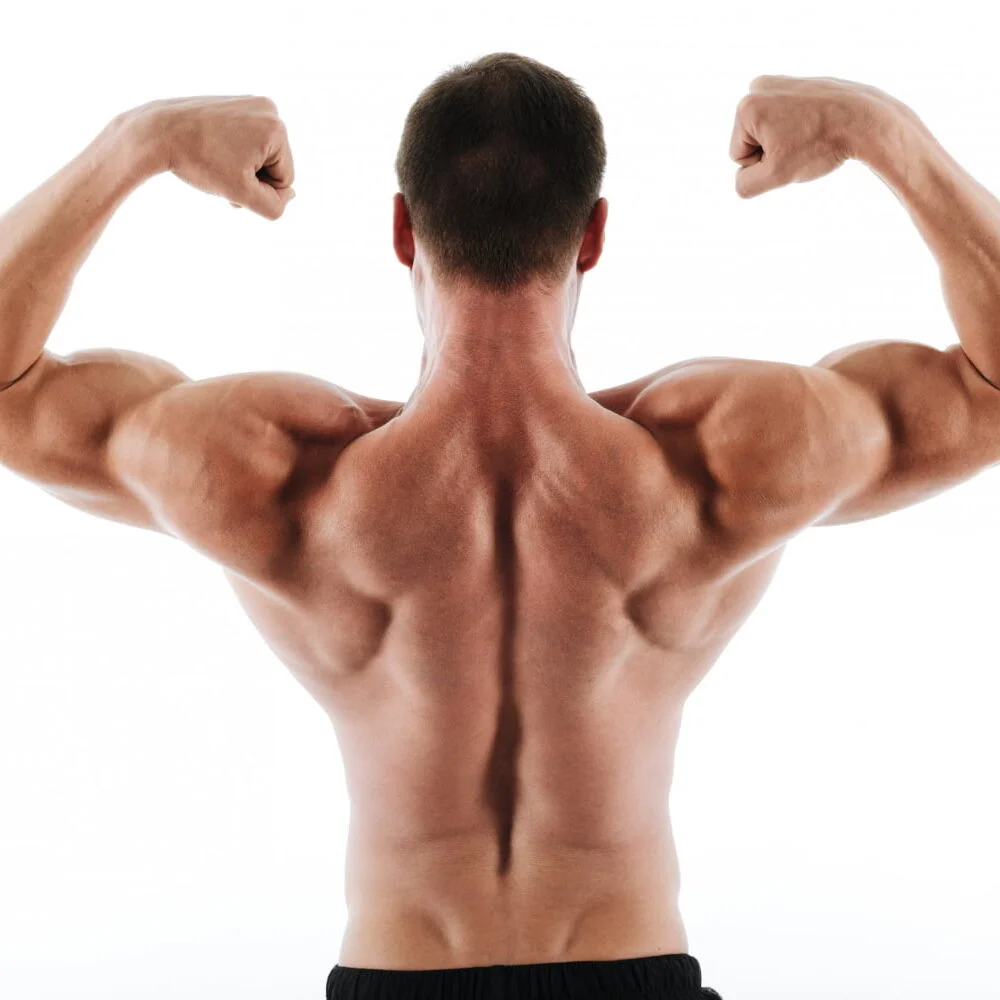 10 Effective Exercises For Multifidus Muscles