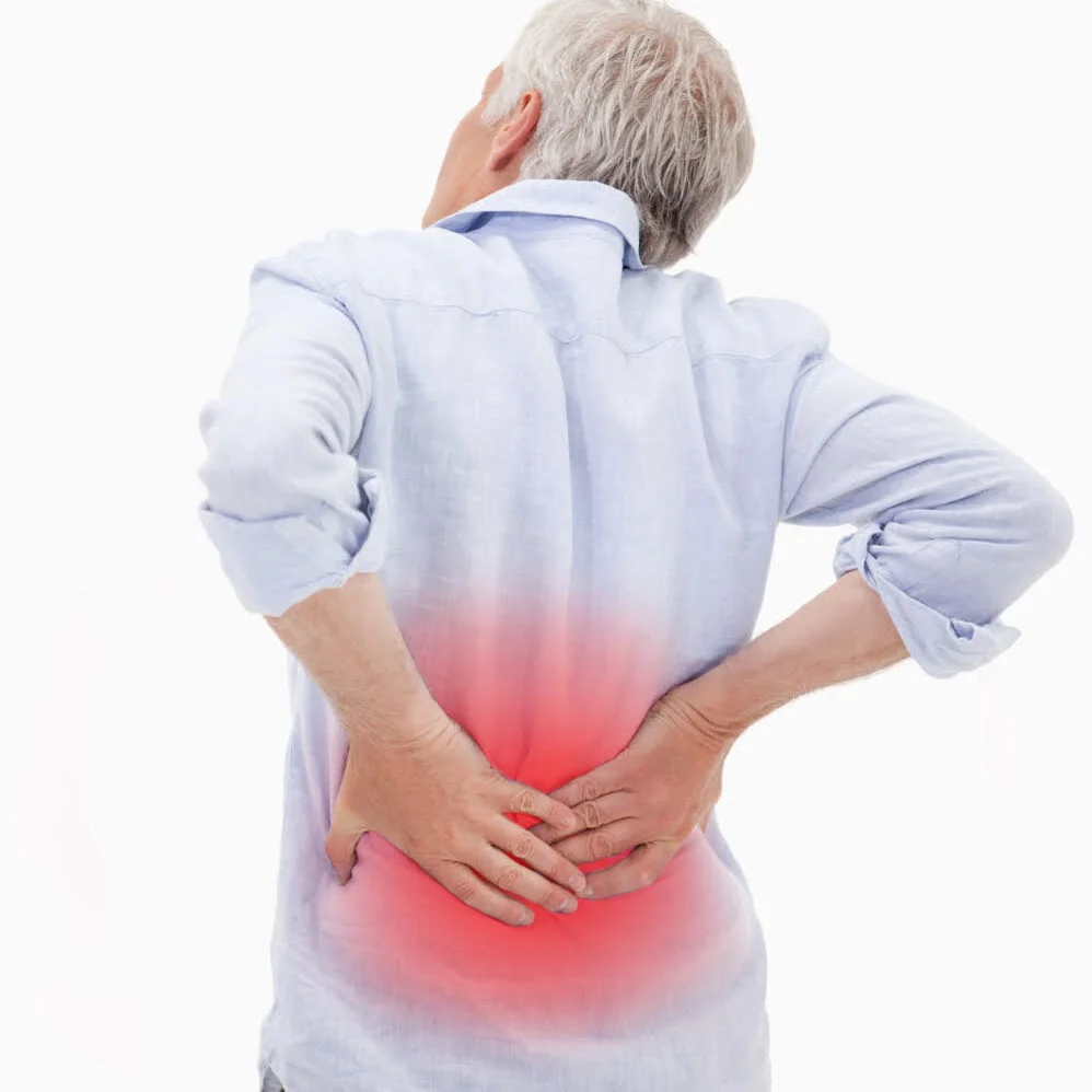 10 Effective Exercises For Multifidus Muscles