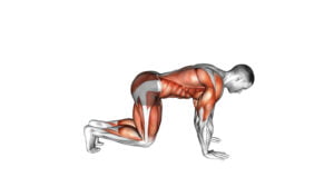 10 Effective Quadruped Exercises To Strengthen Your Core And Improve Mobility