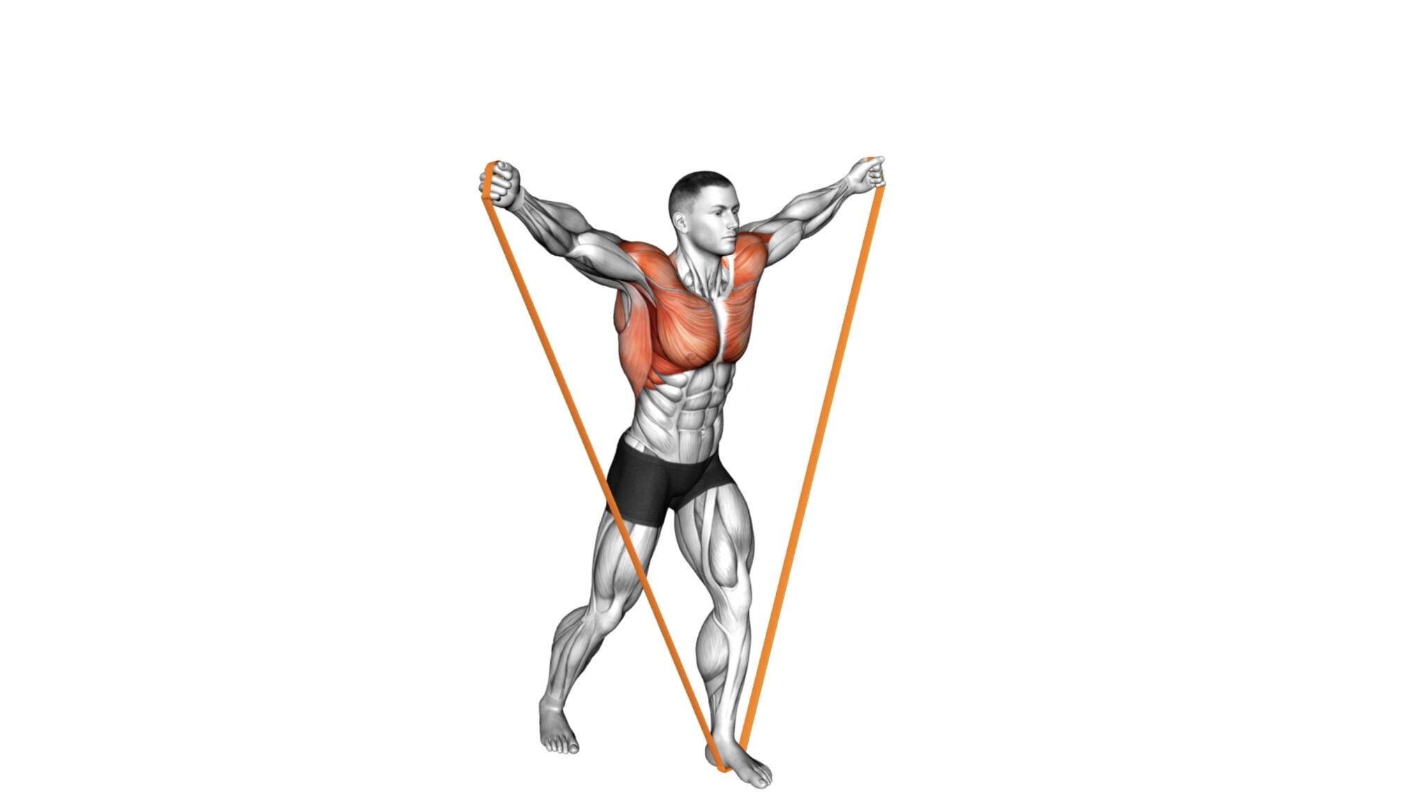 10 Effective Back And Shoulder Exercises With Resistance Bands: A ...